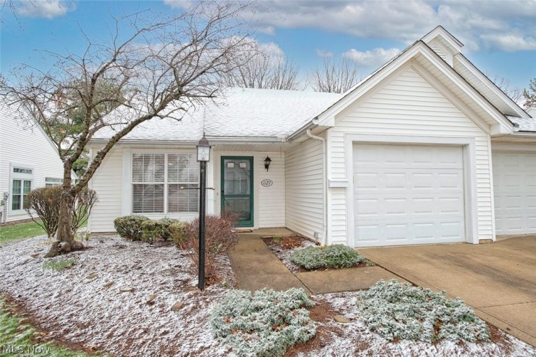 1127 Lake Meadow Lane, Brunswick, OH, 44212