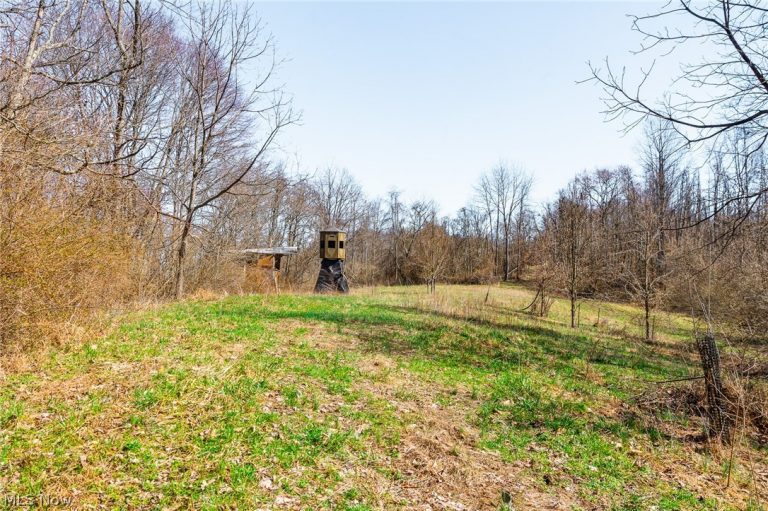 Sheepskin Ridge Road, Lower Salem, OH - Photo 8
