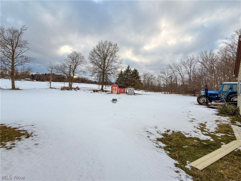 7318 Friendsville Road, Lodi, OH - Photo 6