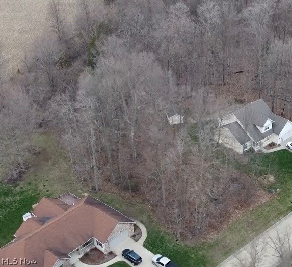 V/L 258 Stony Brook Lane, Wakeman, OH - Photo 2