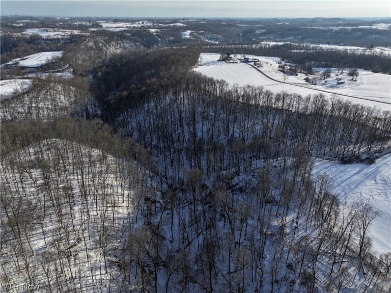 Tract 2 MORRS RIDGE Road, Woodsfield, OH - Photo 5
