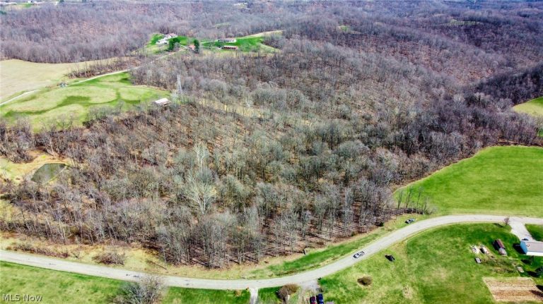 17805 Early Cemetary Road, Kimbolton, OH, 43749