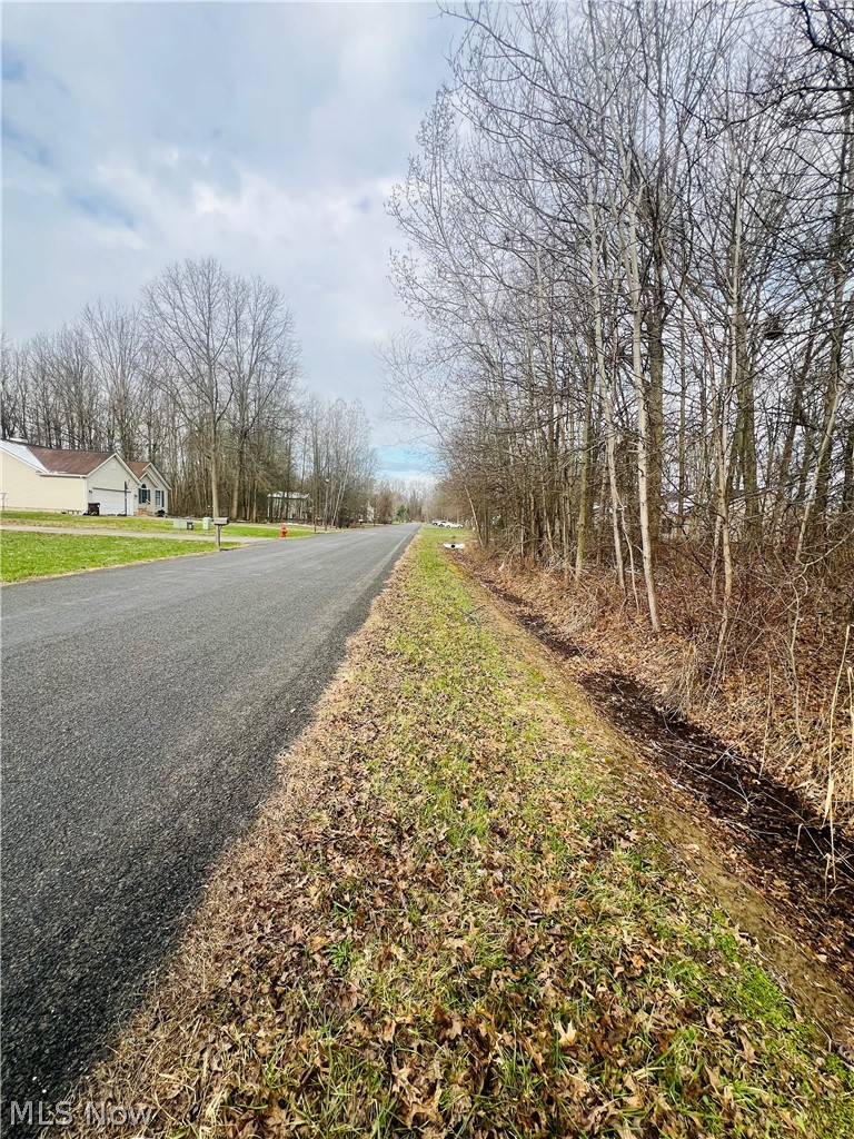 Lot 115 Breezewood Lane, Orwell, OH - Photo 3