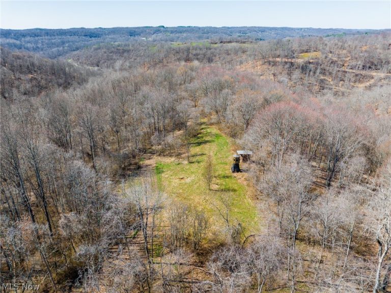Sheepskin Ridge Road, Lower Salem, OH, 45745