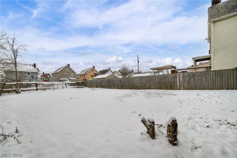 4225 50th Street, Cleveland, OH - Photo 8