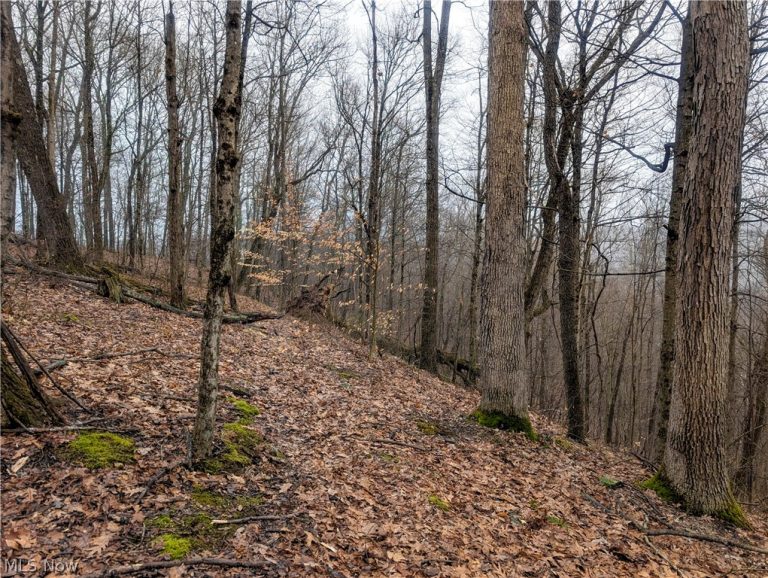 Tract 9 Township RD 272, Lewisville, OH - Photo 5