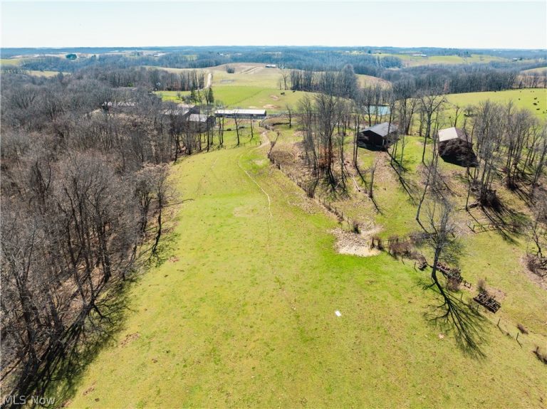 91100 Eckley Road, Jewett, OH - Photo 4