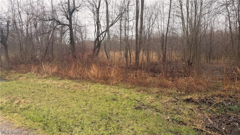 Ninevah Road, Geneva, OH - Photo 2