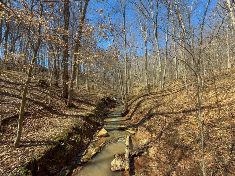 Stoneburner Road, Crooksville, OH - Photo 6