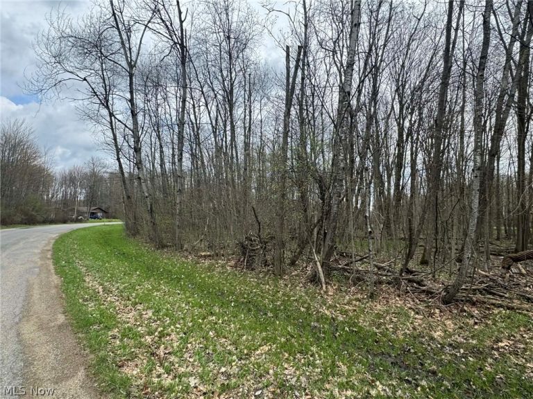 1753 Morning Star Drive, Roaming Shores, OH - Photo 3