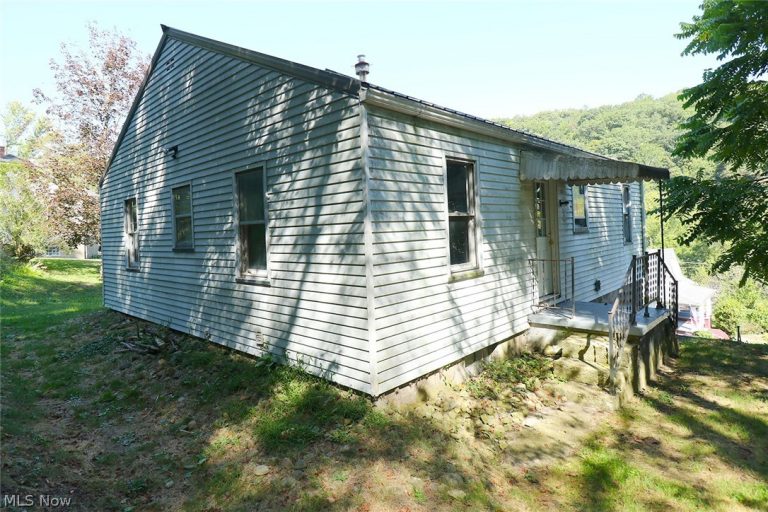 126 Ohio Street, Mingo Junction, OH - Photo 4