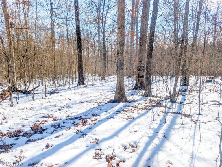 0 Tract 16 Ch 59, Cutler, OH - Photo 4