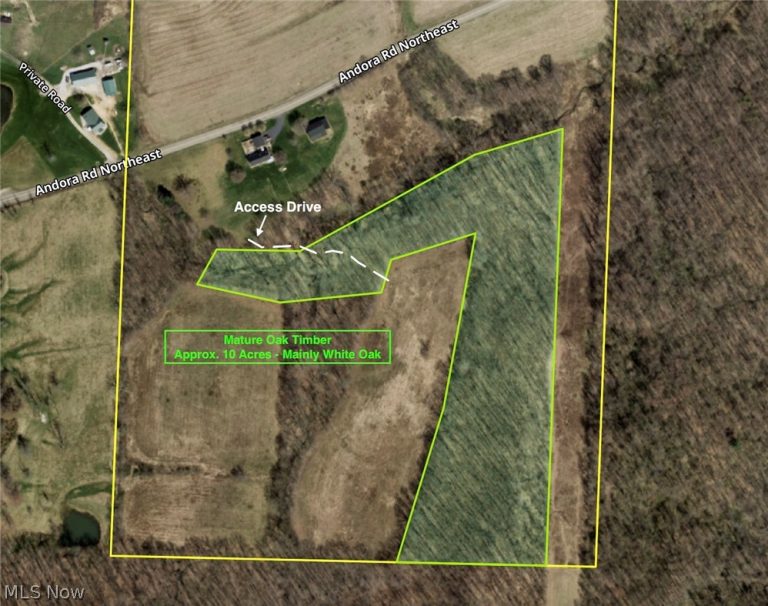 1368 Andora Road, Carrollton, OH - Photo 6