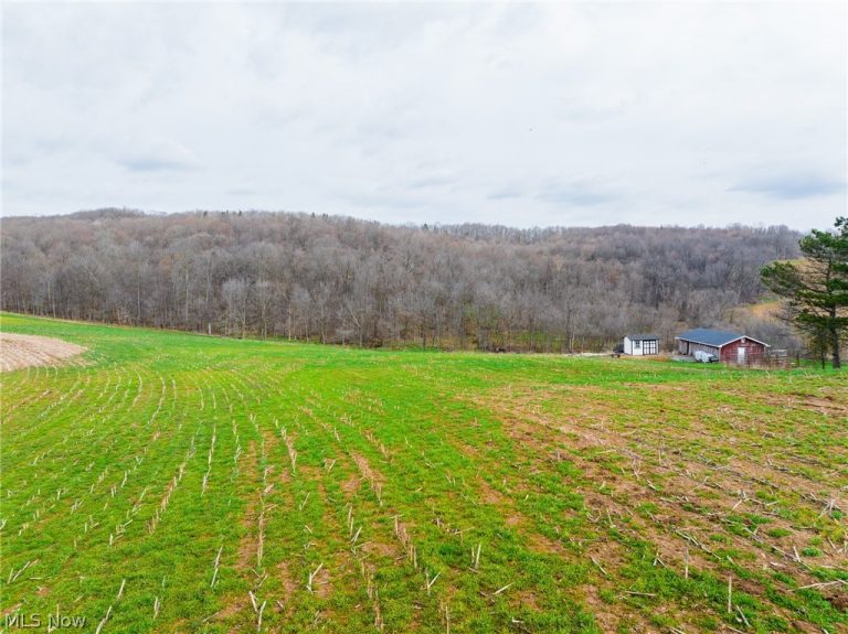 N American Road, Dover, OH - Photo 4