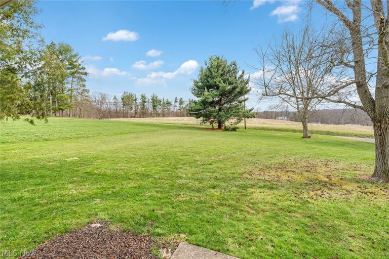 40140 Miller Road, Leetonia, OH - Photo 5