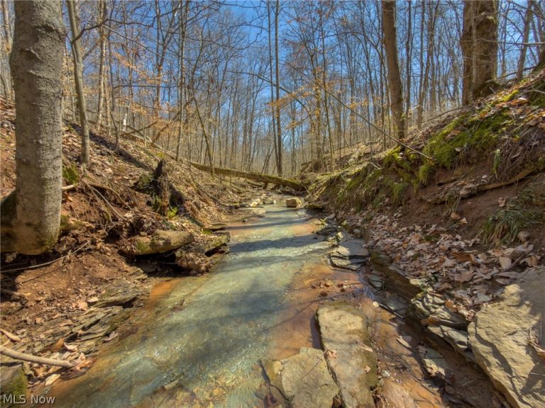 Stoneburner Road, Crooksville, OH - Photo 3