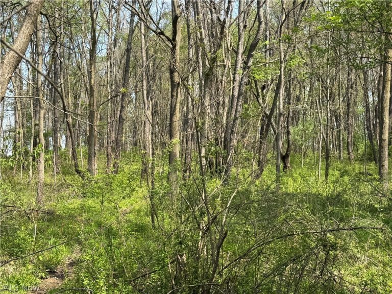 Village Street, Canton, OH - Photo 6