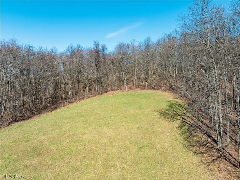 Burrier Road, Jewett, OH - Photo 4