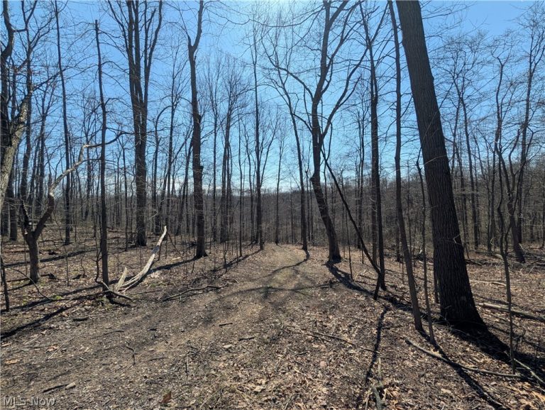 Township Road 289, Hammondsville, OH - Photo 4