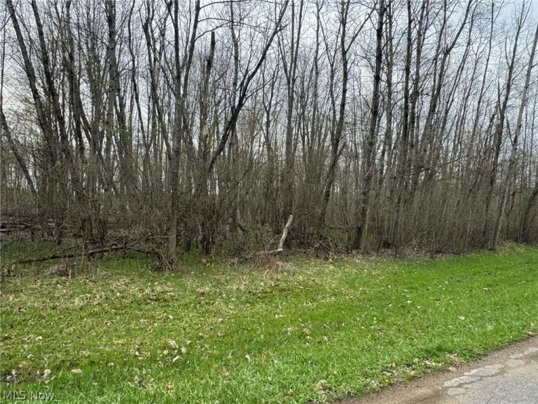 1753 Morning Star Drive, Roaming Shores, OH, 44084