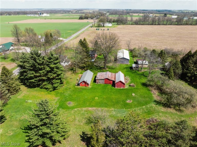 2483 Steiner Road, Creston, OH - Photo 4