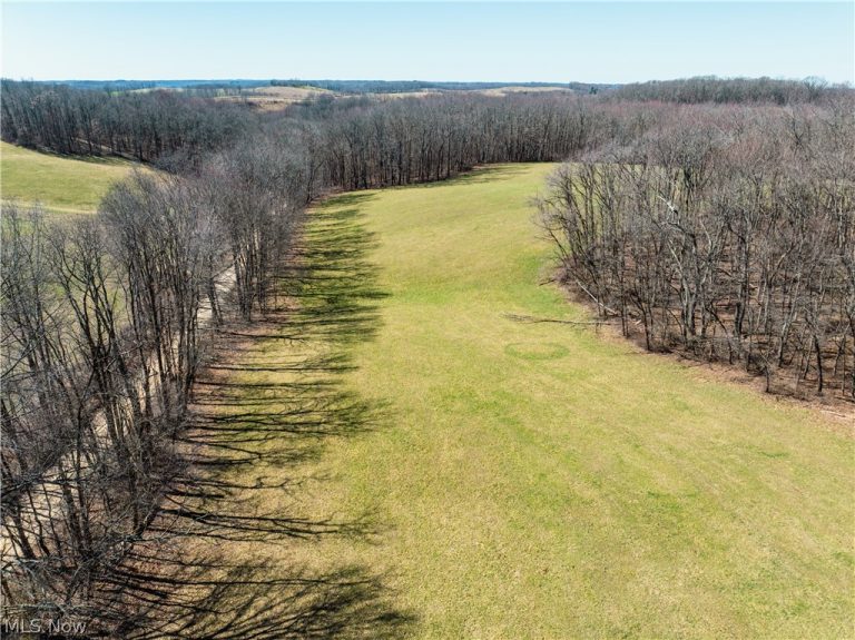 Burrier Road, Jewett, OH - Photo 3