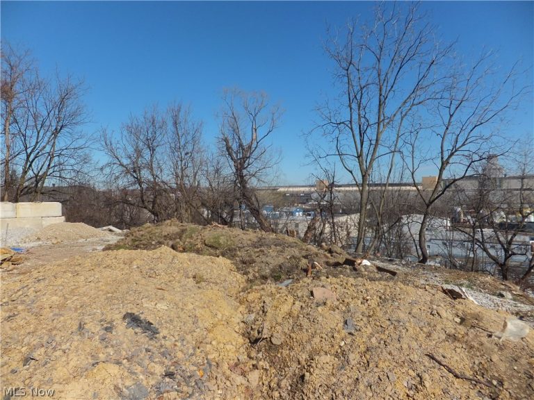 3747 13th Street, Cleveland, OH - Photo 4