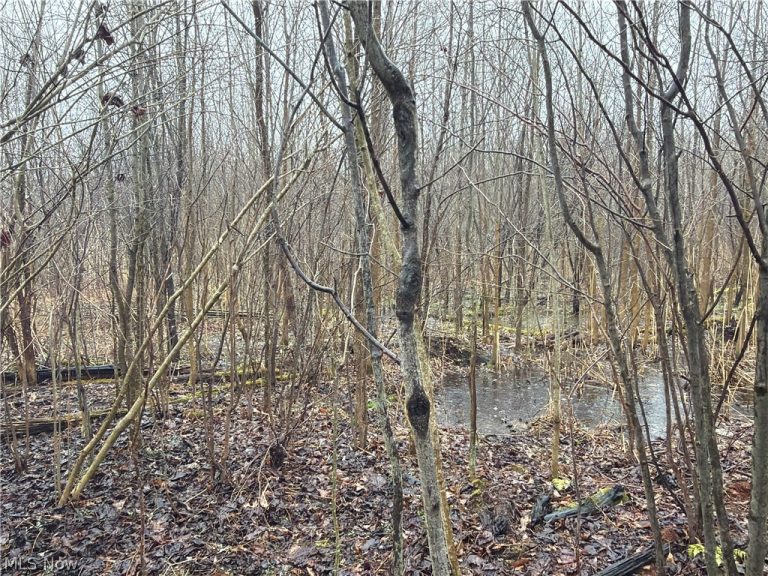 Ninevah Road, Geneva, OH - Photo 8