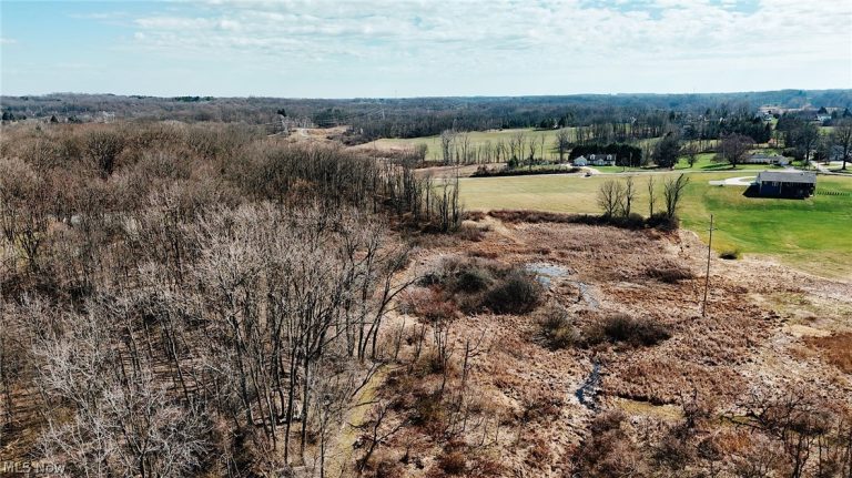 V/L Granger Road, Medina, OH - Photo 8