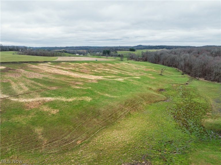 SR-516, Dundee, OH - Photo 5