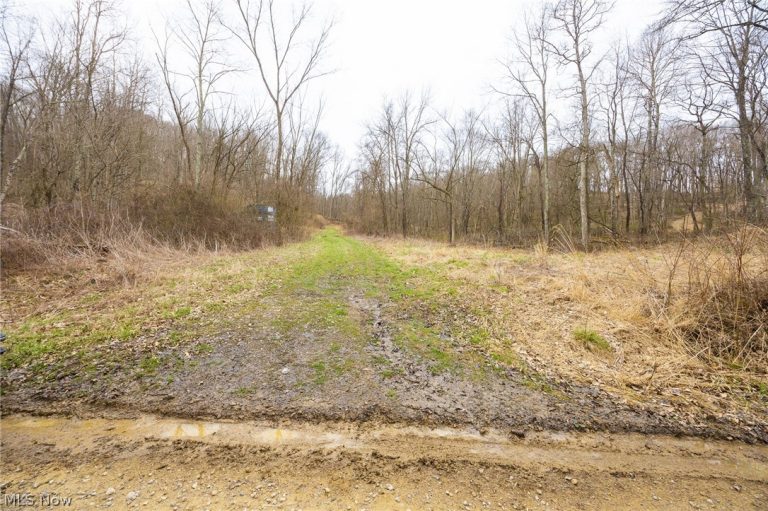 Township Road 71, Killbuck, OH - Photo 5
