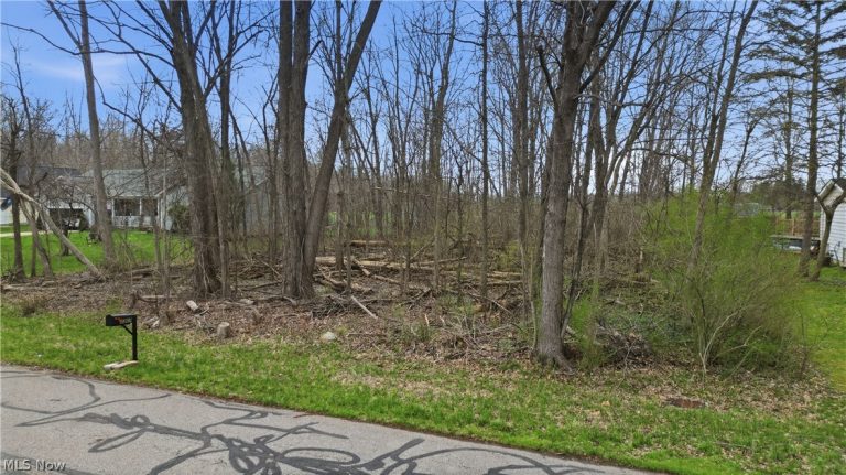 3320 Sandy Lane, Avon, OH - Photo 4