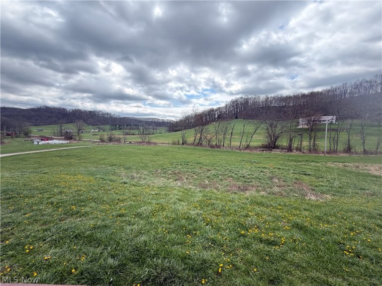 6995 Bill Johns Road, Newcomerstown, OH - Photo 6