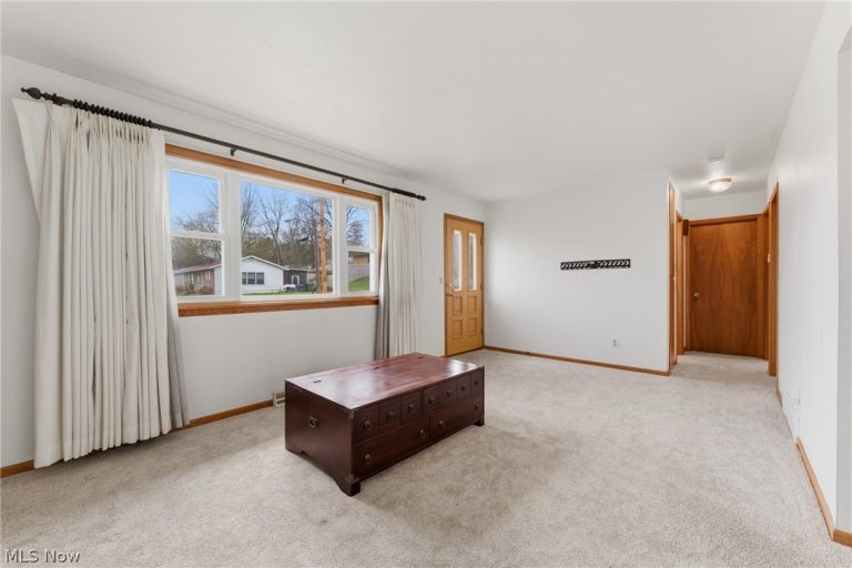 157 LOUISE Street, Rittman, OH - Photo 5