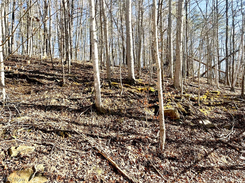 Rd 34, Ripley, WV