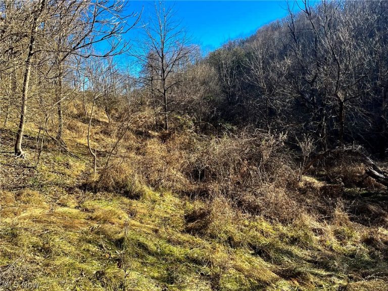 Rd 34, Ripley, WV - Photo 5