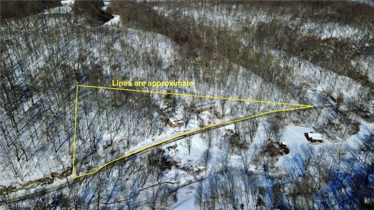 965 Back Run Road, Philo, OH - Photo 3