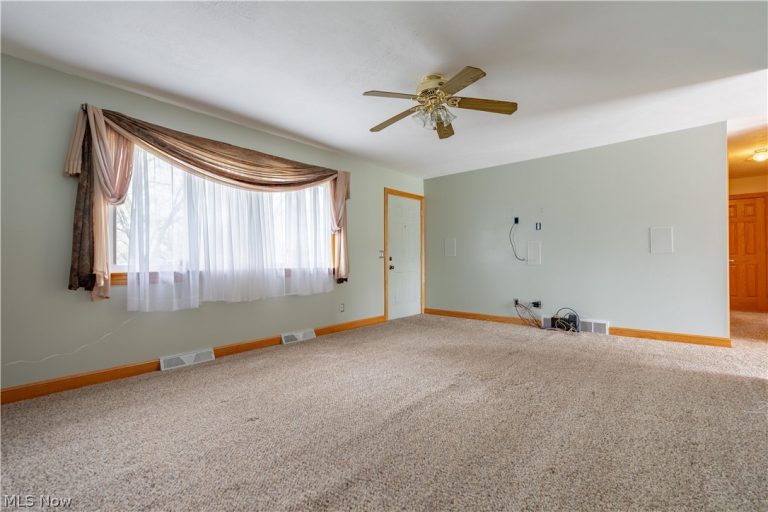 3804 Psolla Street, Canton, OH - Photo 4