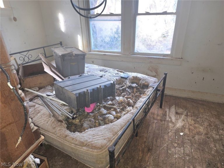 958 Inman Street, Akron, OH - Photo 8