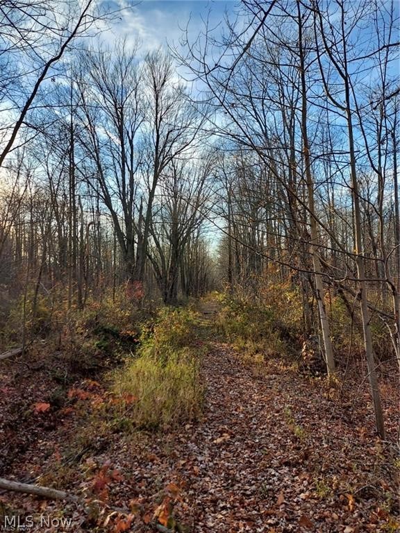 Magnolia Drive #6, Madison, OH - Photo 3