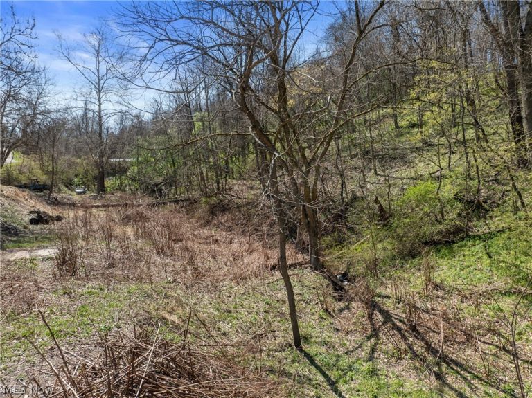 115 Township Road 501, Mingo Junction, OH - Photo 5