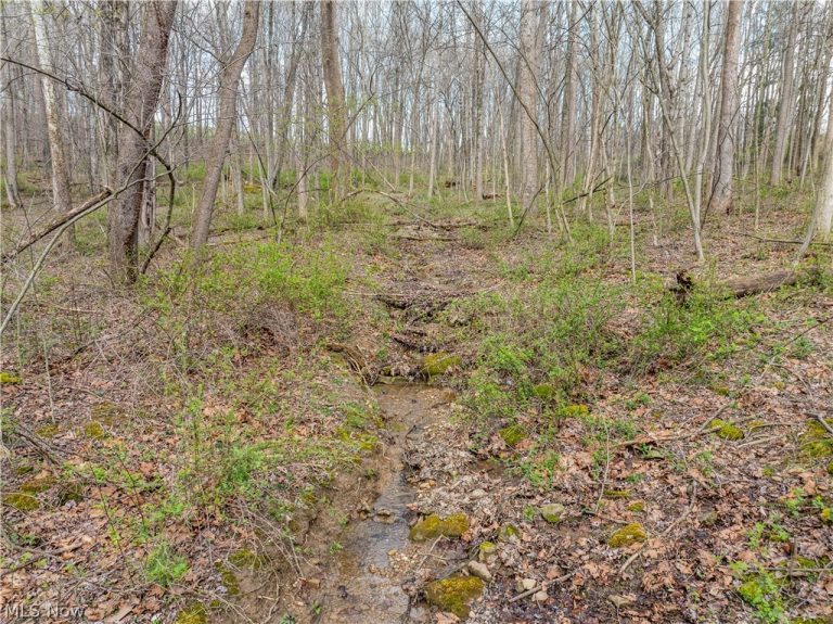 Township Rd 389, Frazeysburg, OH - Photo 8
