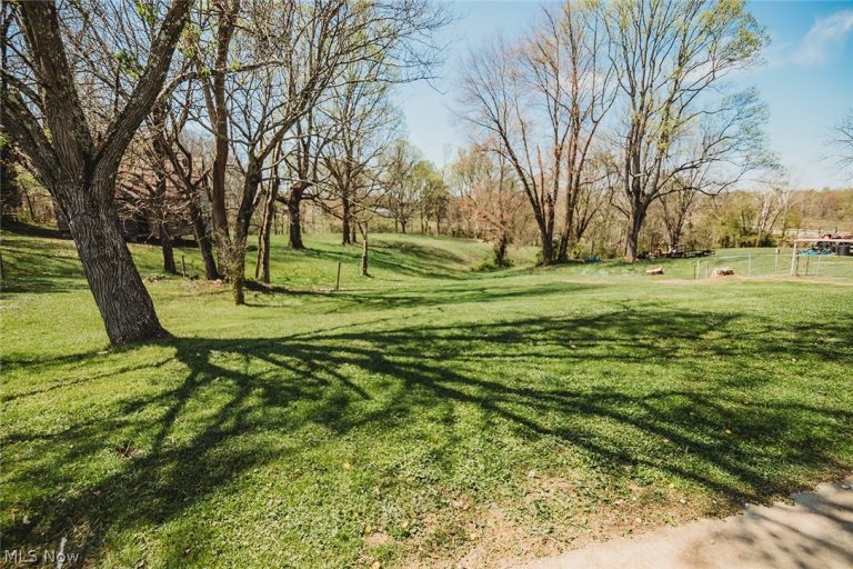 19 Osborne Street, Washington, WV - Photo 6