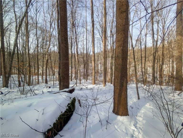 Tract 11 Miltonsburg-Calais Road, Woodsfield, OH - Photo 2