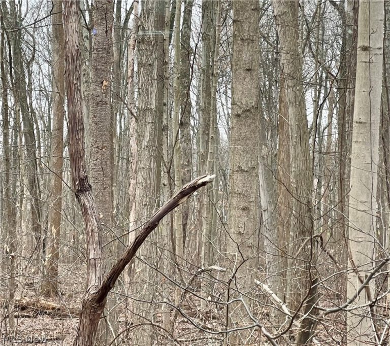 Maple Avenue, Boardman, OH, 44512