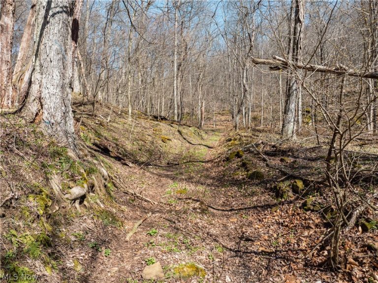 Township Road 34, Killbuck, OH - Photo 5
