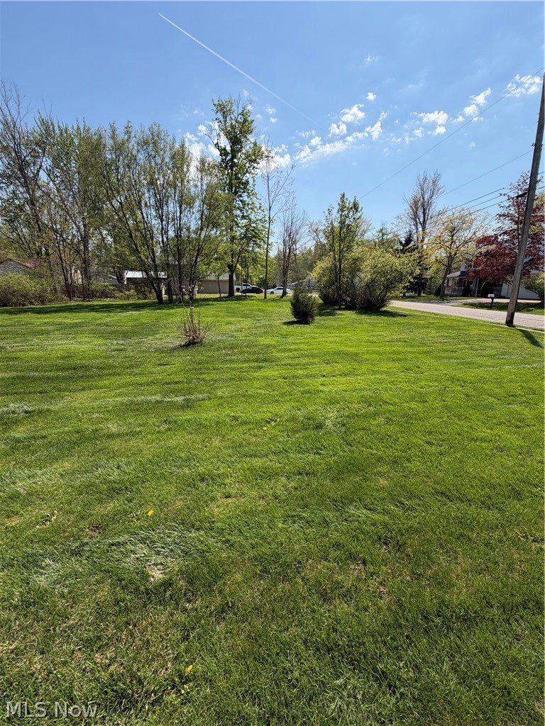 Pasadena Avenue, Sheffield Lake, OH - Photo 4