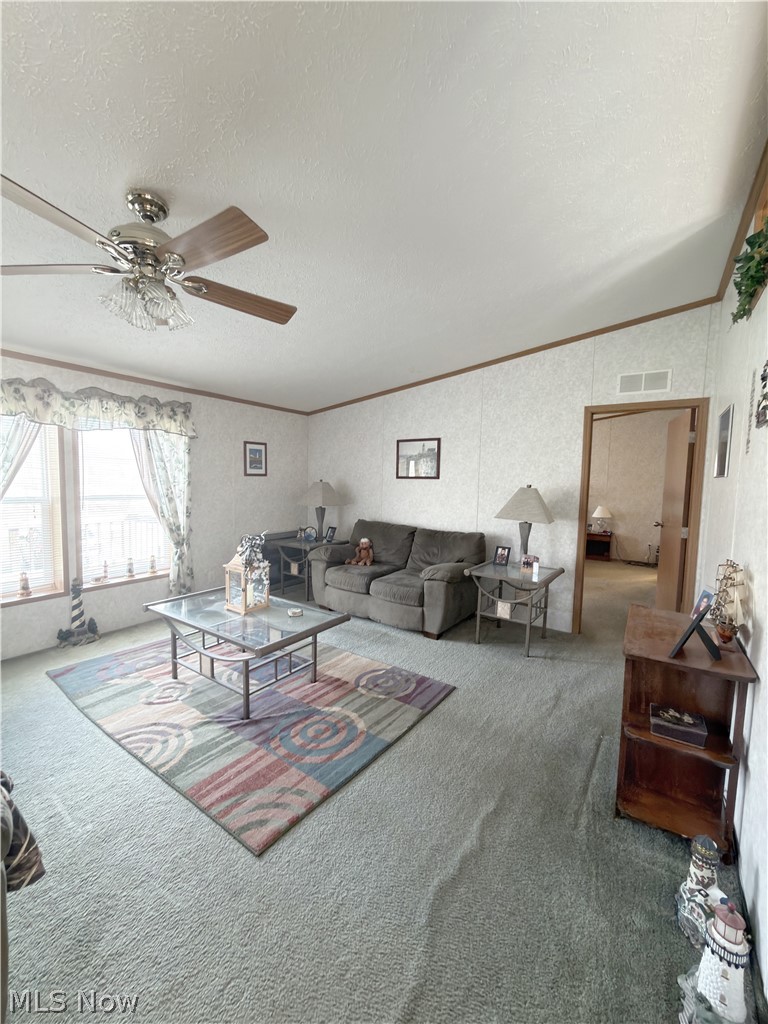 47813 Old Hopedale Road, Cadiz, OH - Photo 6