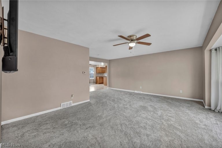 337 University Avenue, Elyria, OH - Photo 8