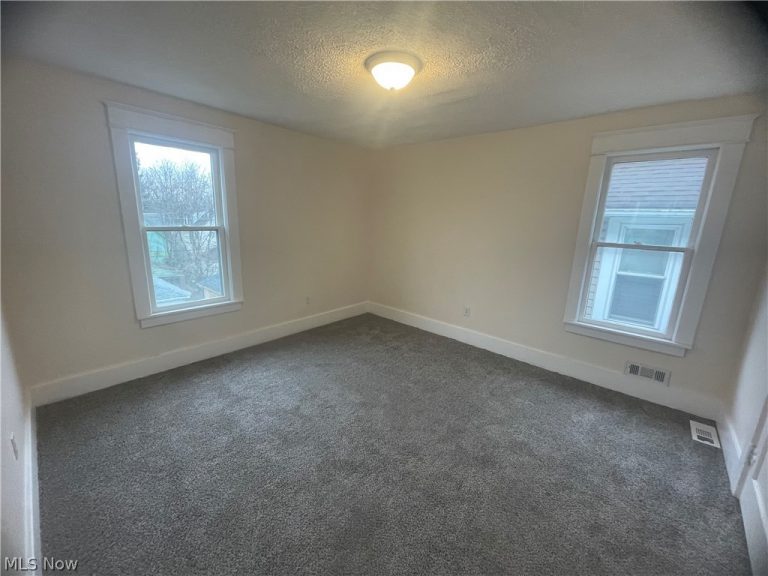 316 Henry Avenue, Steubenville, OH - Photo 8